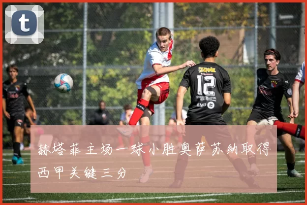 赫塔菲主场一球小胜奥萨苏纳取得西甲关键三分