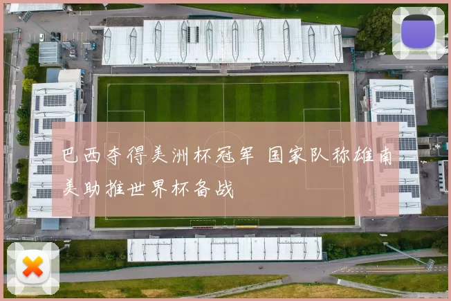 巴西夺得美洲杯冠军 国家队称雄南美助推世界杯备战