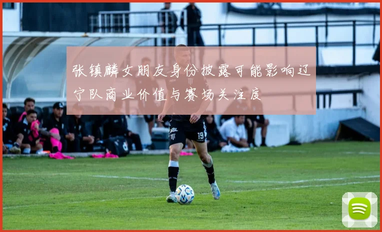 张镇麟女朋友身份披露可能影响辽宁队商业价值与赛场关注度